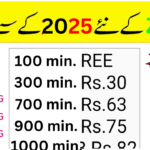 Zong Call Packages Monthly 80 rupees